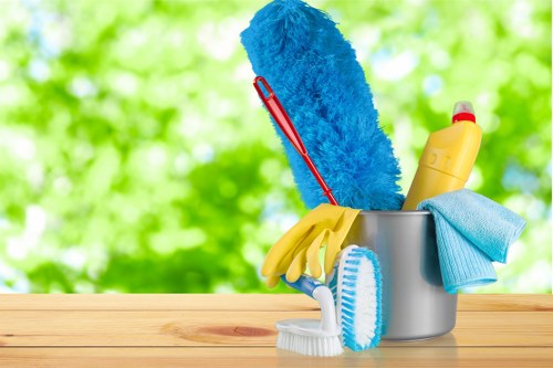 Domestic cleaning service for a home in W3 with kitchen and living area care