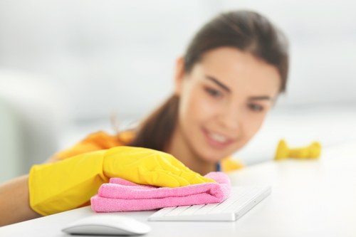 Reviewing a carpet cleaning issue and service details