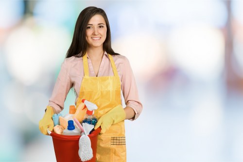 Deep cleaning in a W3 flat or house